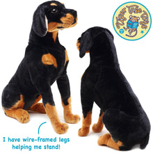 Load image into Gallery viewer, Robbie The Rottweiler | 27 Inch Stuffed Animal Plush
