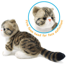Load image into Gallery viewer, Esther The Exotic Shorthair Tabby Cat | 14 Inch Stuffed Animal Plush
