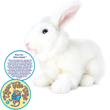 Load image into Gallery viewer, Wren The White Rabbit | 10 Inch Stuffed Animal Plush
