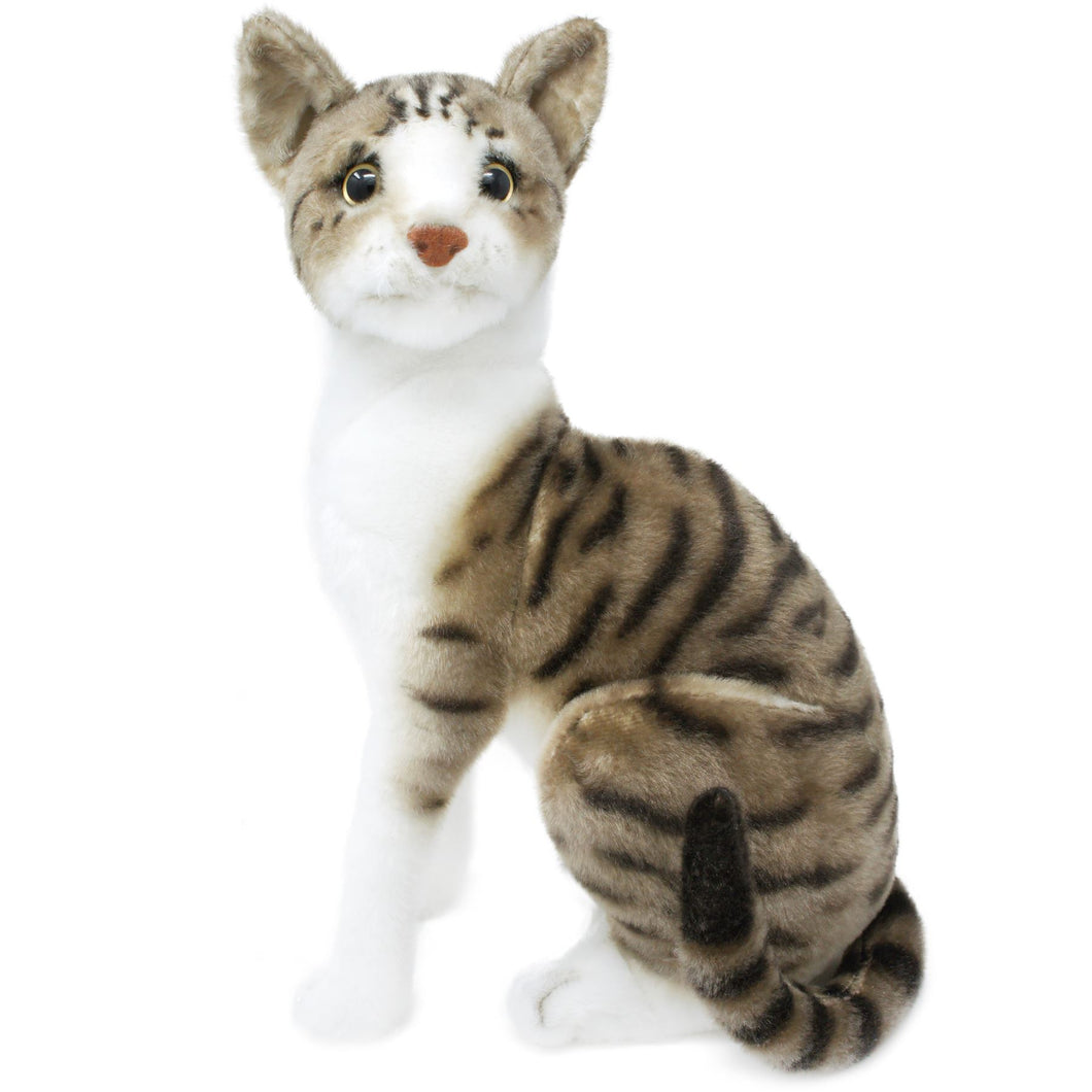 Amy The American Shorthair Cat | 14 Inch Stuffed Animal Plush