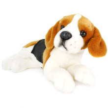 Load image into Gallery viewer, Burkham The Beagle  | 14 Inch Stuffed Animal Plush
