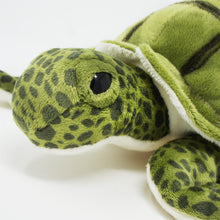Load image into Gallery viewer, Turquoise The Green Sea Turtle | 10 Inch Stuffed Animal Plush
