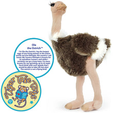 Load image into Gallery viewer, Ola The Ostrich | 12 Inch Stuffed Animal Plush
